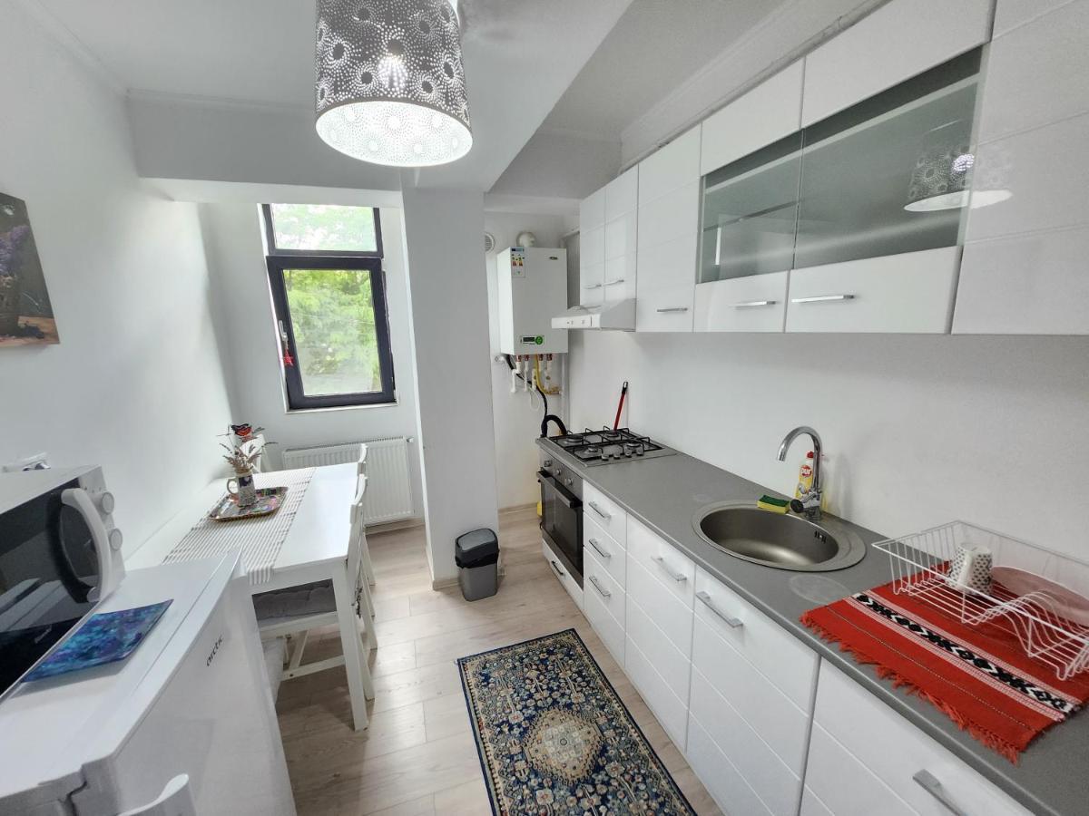 New House In Ultra Center Near Iulius & Palas Mall 雅西 外观 照片