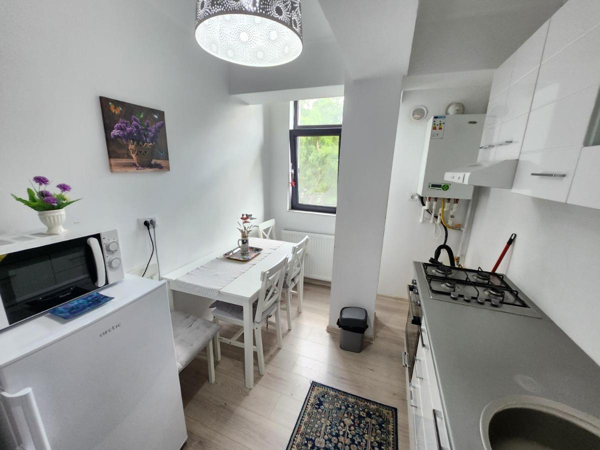 New House In Ultra Center Near Iulius & Palas Mall 雅西 外观 照片