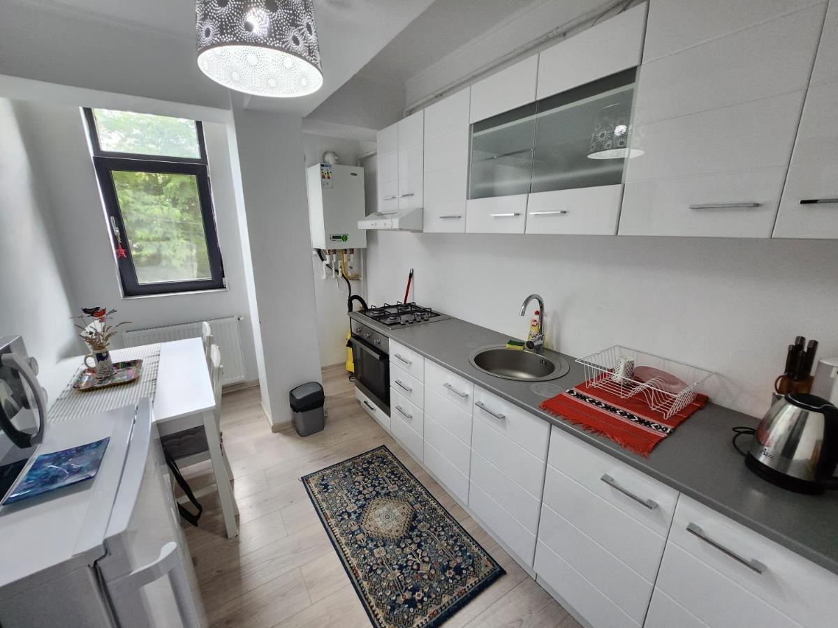 New House In Ultra Center Near Iulius & Palas Mall 雅西 外观 照片
